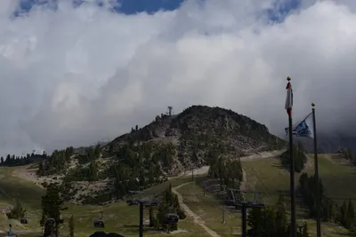 DSC_3147 (Large).JPG